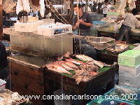 Tsukiji fish market