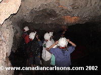 Waitomo caves