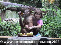 Chloe and Orang