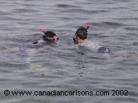 Mark and Sarah snorkeling