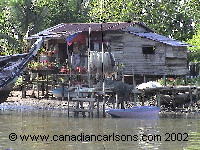 house in mangroves