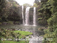 Whangarei Falls