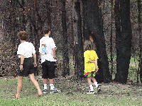 fire damage near Sydney