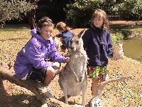 Phillip Island Wildlife Sanctuary